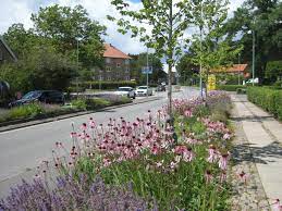 Lyngby Taarbæk kommune og Administrativ Leder, Center for Arealer og Ejendomme